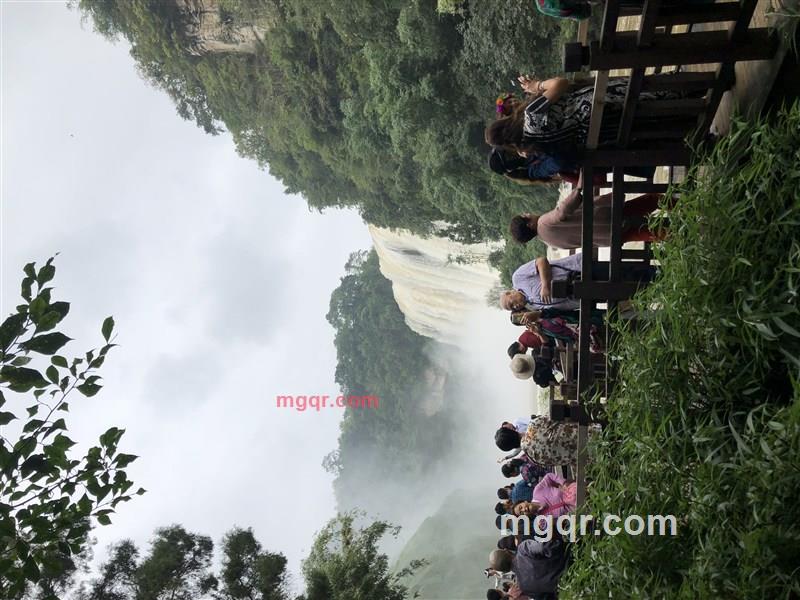 YSL.2016的第10张照片