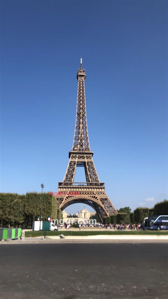 YSL.2016的第8张照片