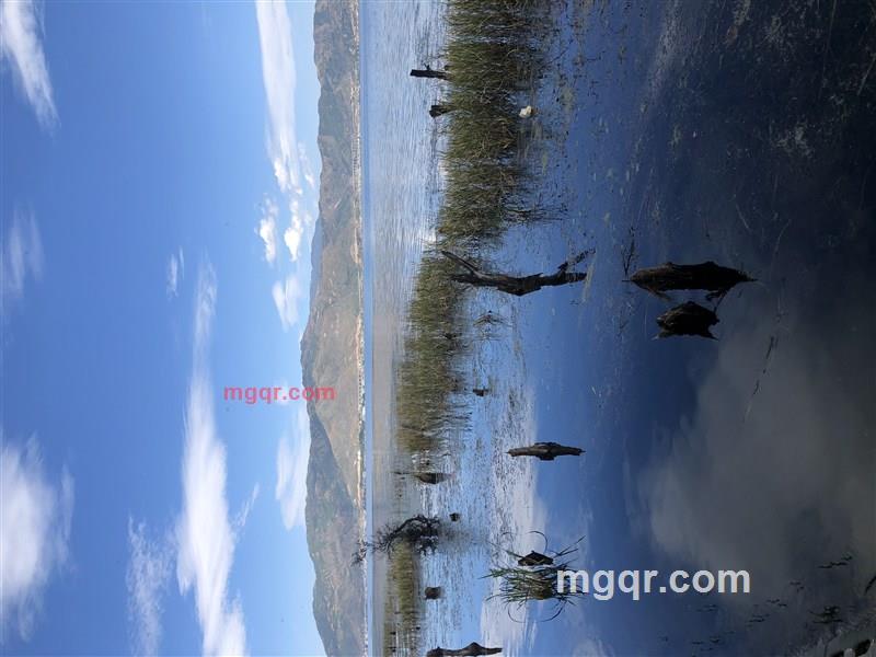 YSL.2016的第20张照片