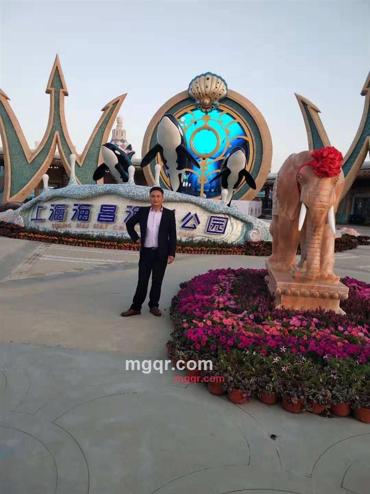 贾鞍山下的鹰的第5张照片