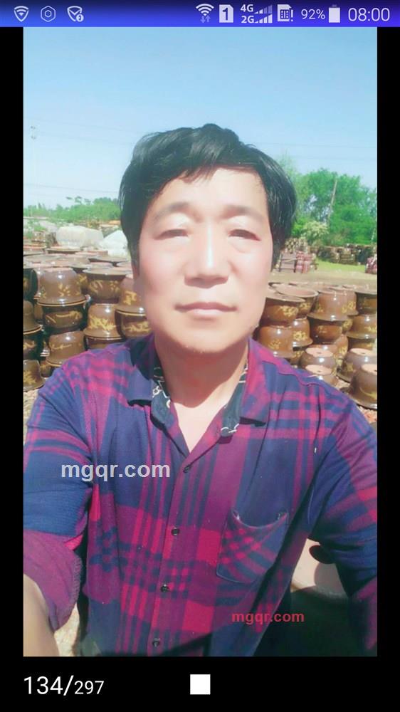 情为何物的第1张照片