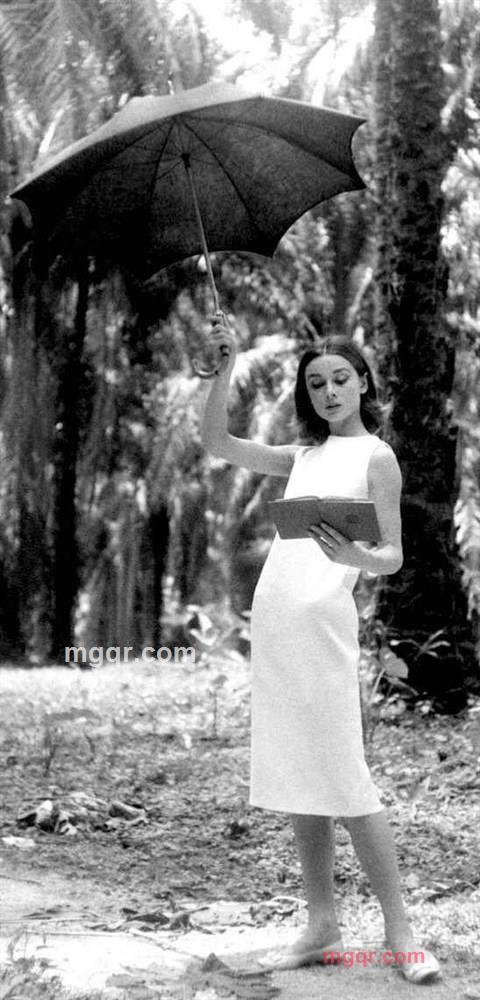 歌本达斯的第2张照片