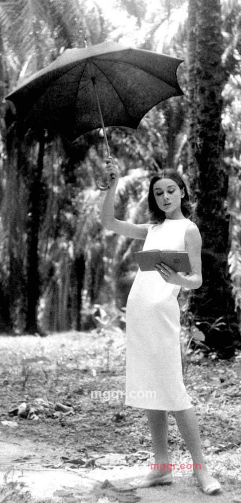 歌本达斯的第1张照片