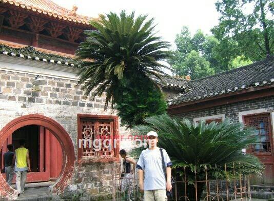 致意青春的第1张照片