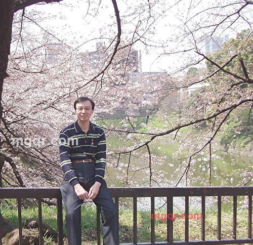 羊肉爐的第4张照片