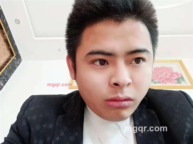 木马木马的第1张照片