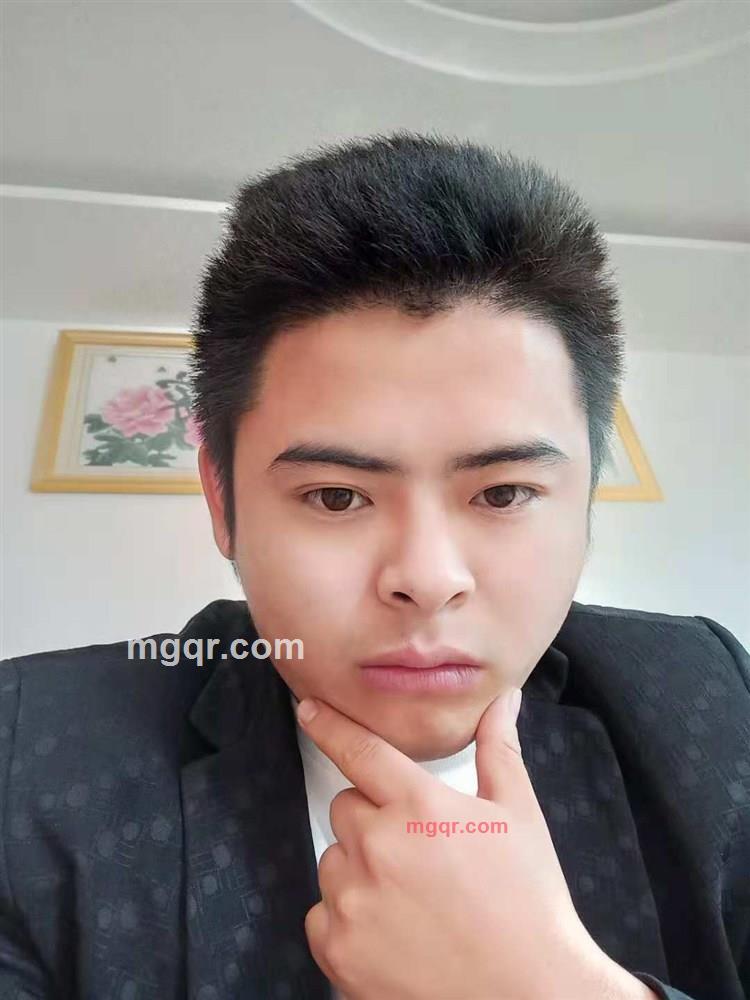 木马木马的第2张照片