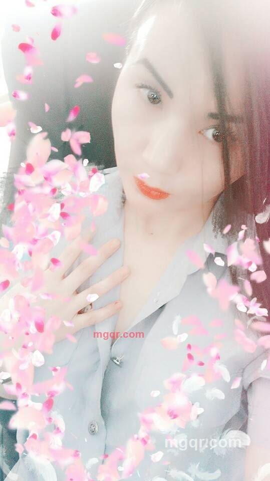 猫咪爱玫瑰的第1张照片