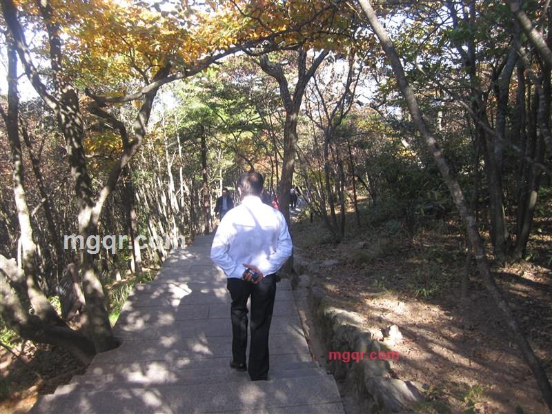 心中的太阳的第1张照片