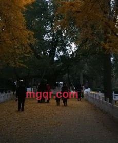 可爱的港湾的第3张照片