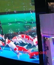 可爱的港湾的第1张照片