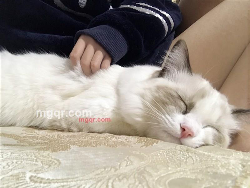 不乖兔兔的第1张照片