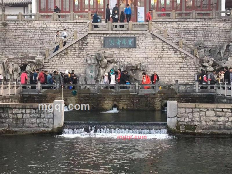 温暖的港湾的第2张照片