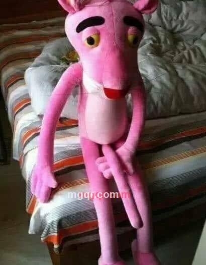 VV--贪狼的第2张照片