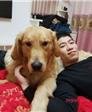 小狼狗、的第1张照片