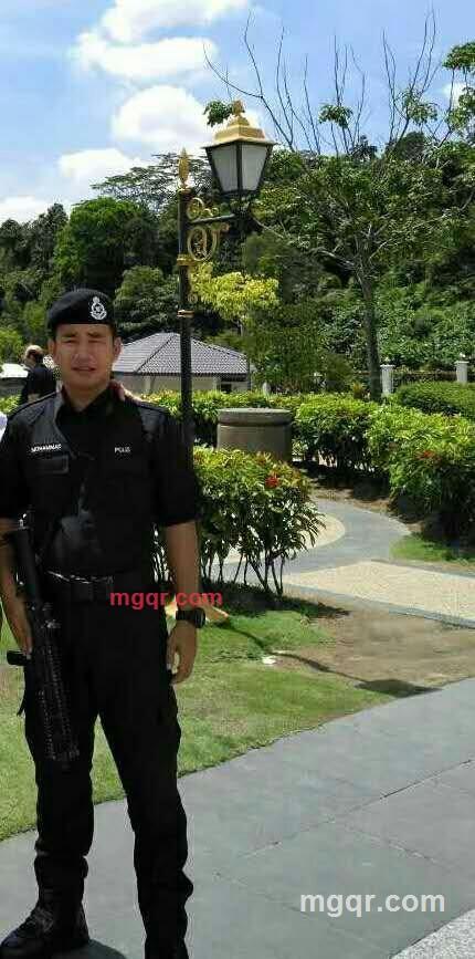 虎王的第1张照片