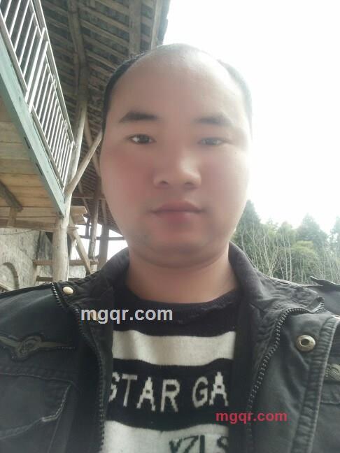 夏天的雨的第1张照片