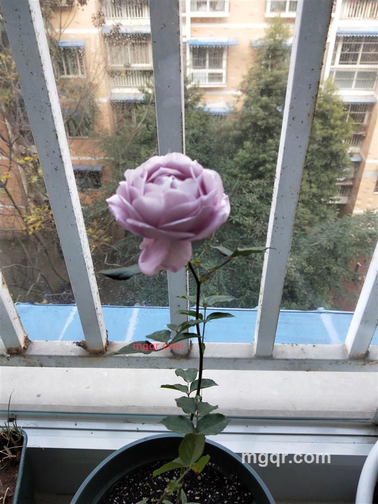 风ABC的第1张照片