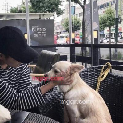 情兽的第1张照片