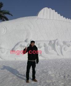 大木木啊的第1张照片