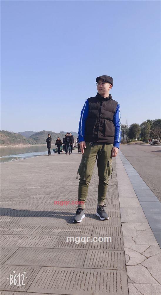 斑点狗的第1张照片