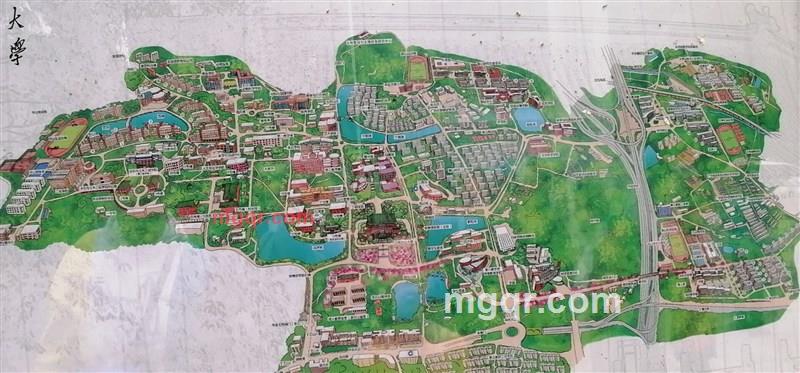 谈情不说爱的第1张照片