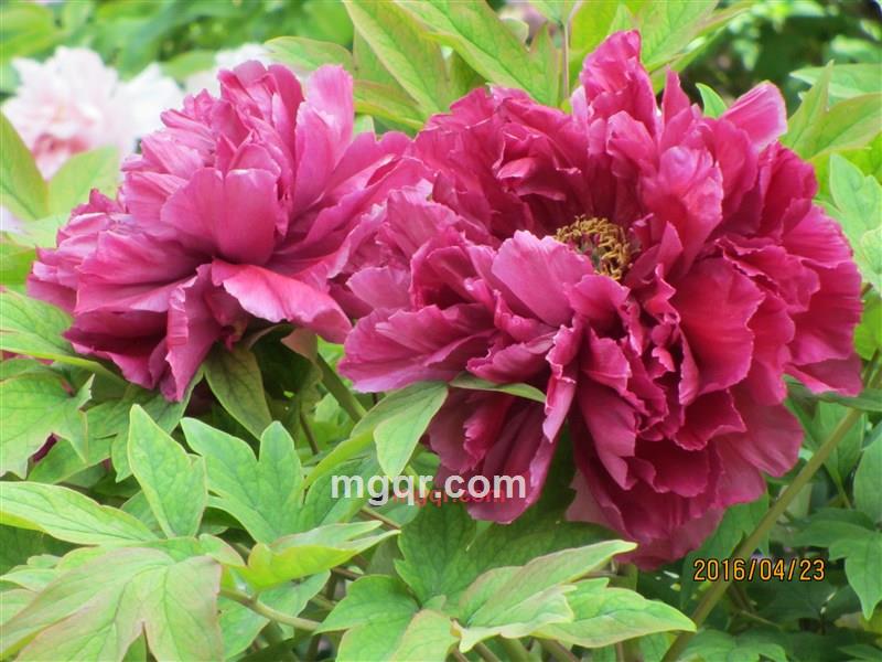 与你开心快乐的第1张照片