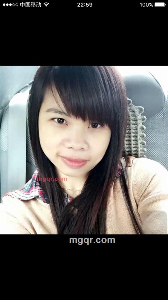 白金菊的第1张照片