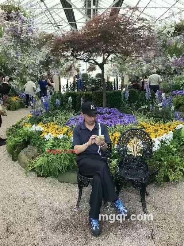 美丽的石头的第1张照片