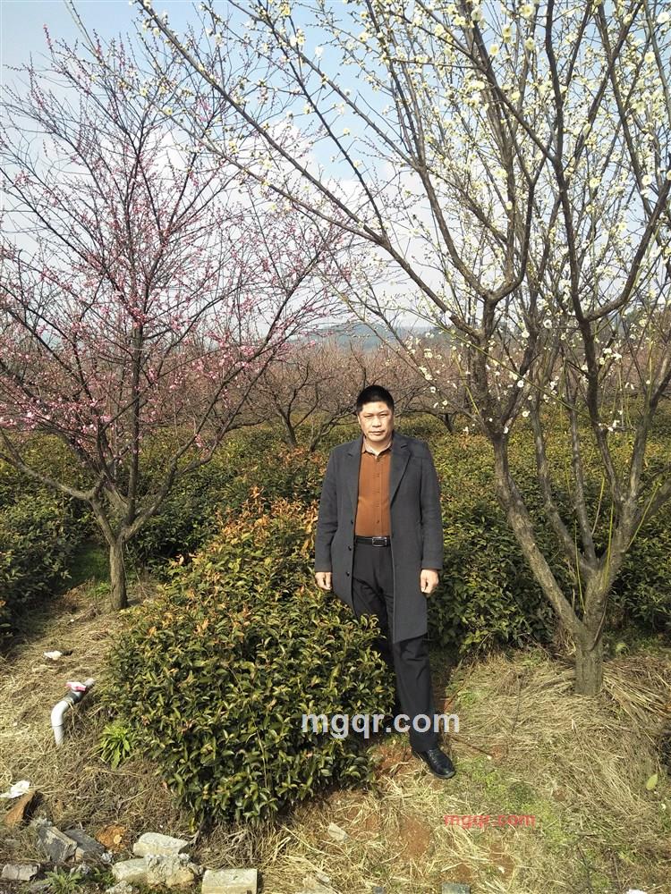 阿奇龙的第1张照片