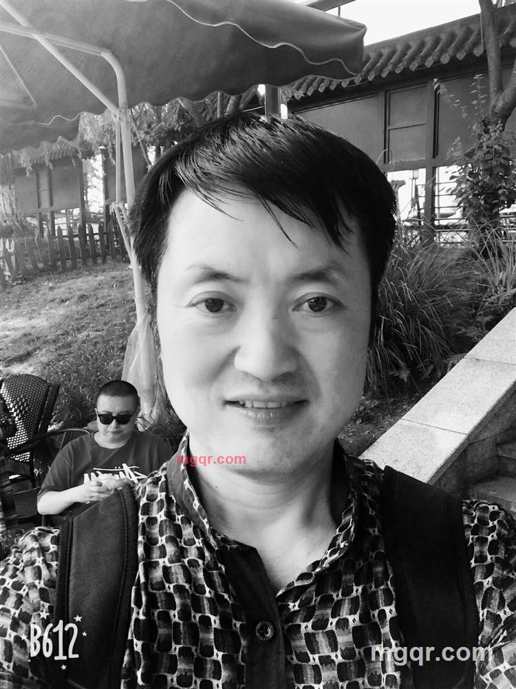 小镇梧桐的第1张照片