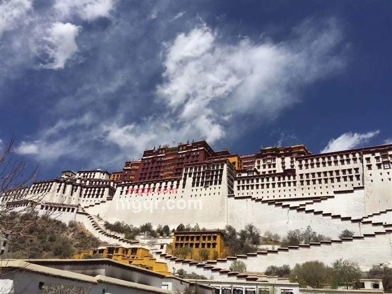 会员4680795的第1张照片