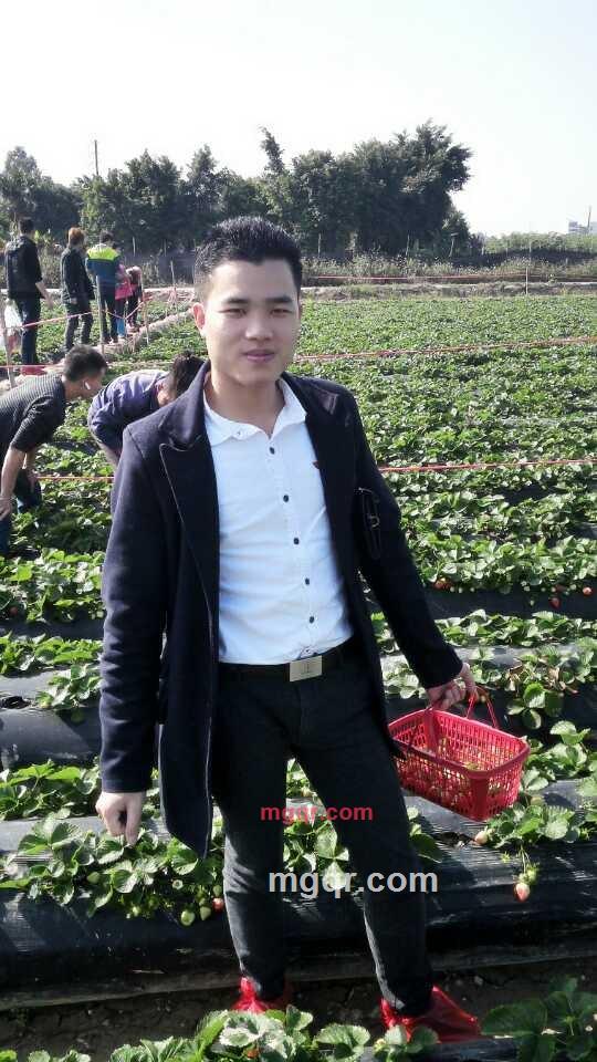 续写的第4张照片