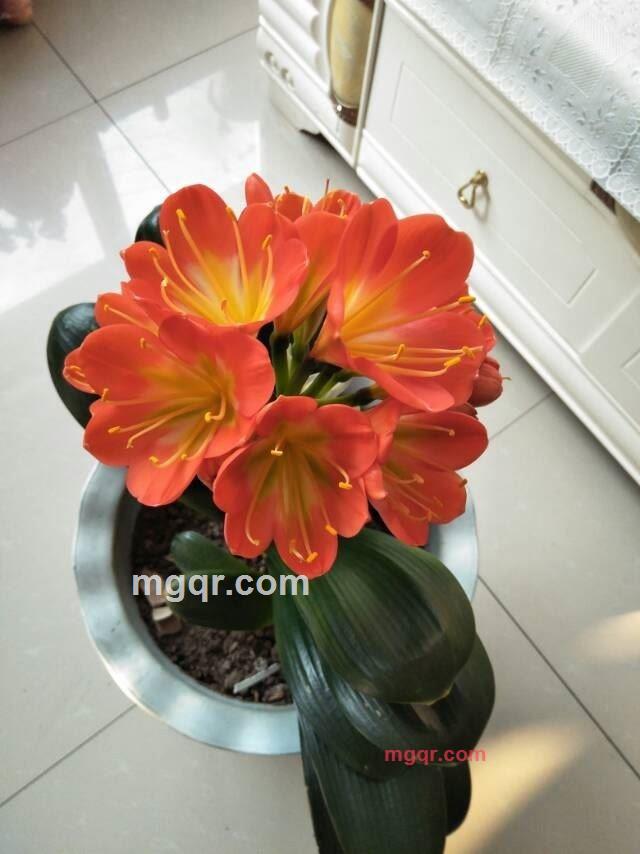 ?? 幸福人生??的第1张照片