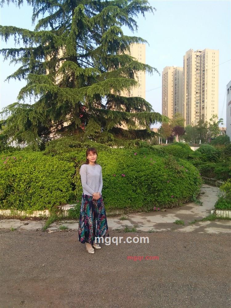 秋天的忧伤的第1张照片