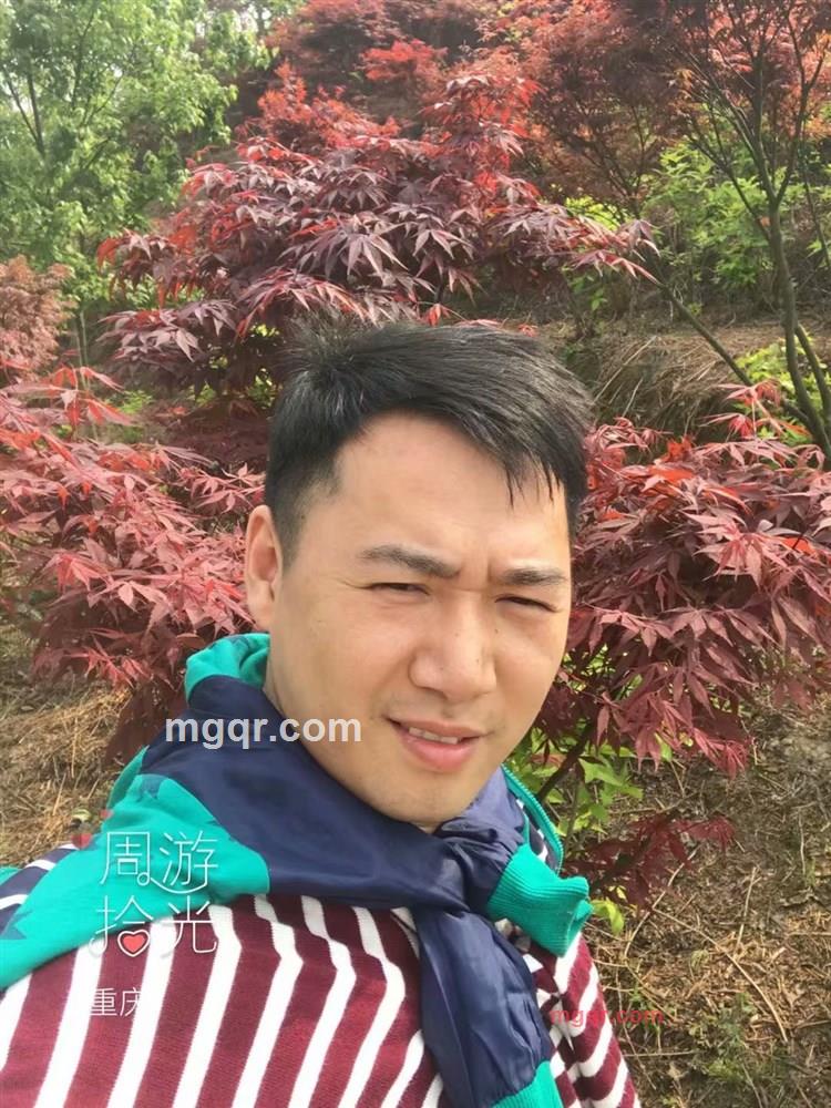 贪吃的小强的第1张照片