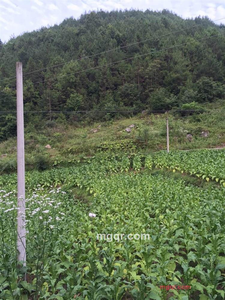 敏敏的第5张照片