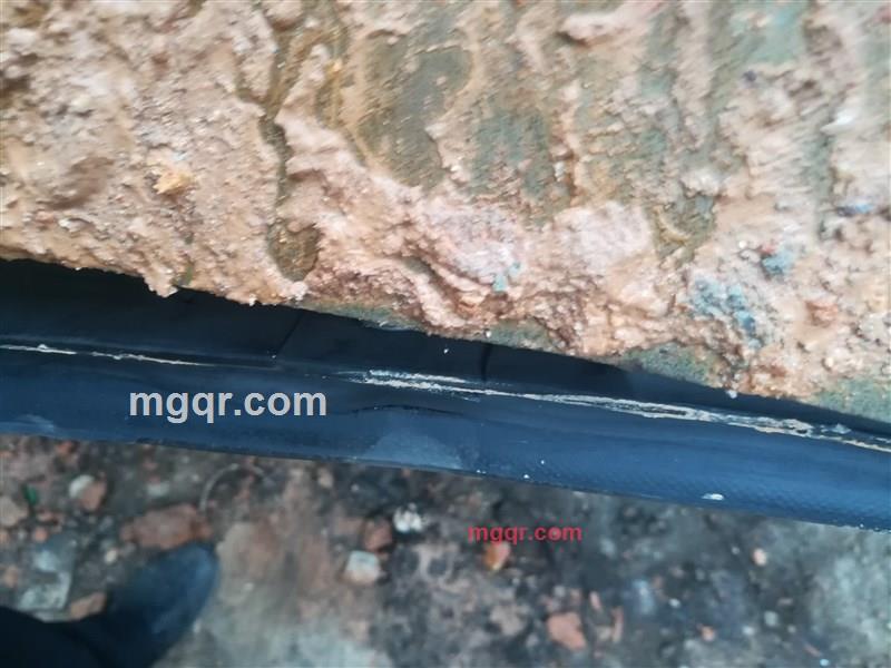 shenmijiandan的第1张照片