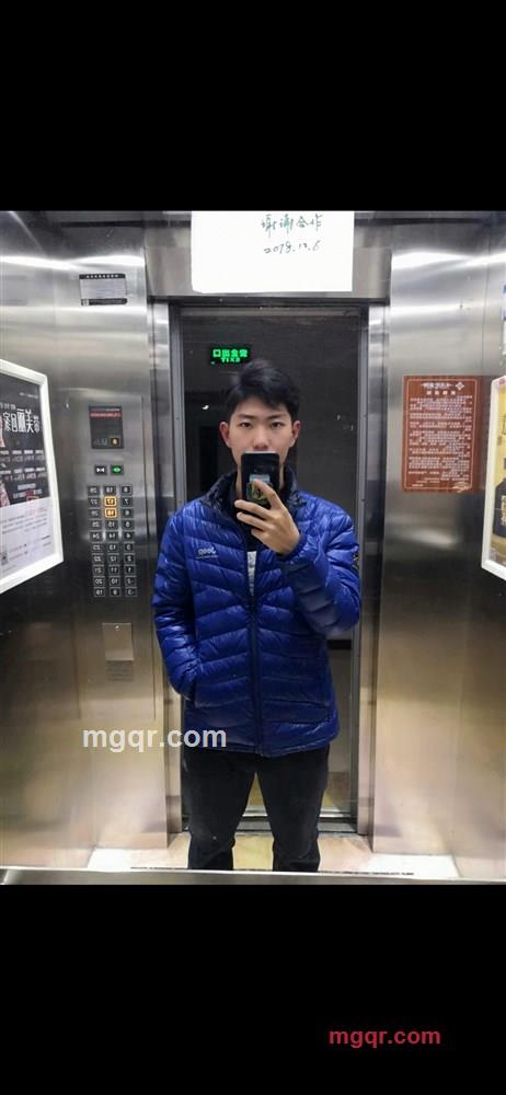 AUROR的第1张照片