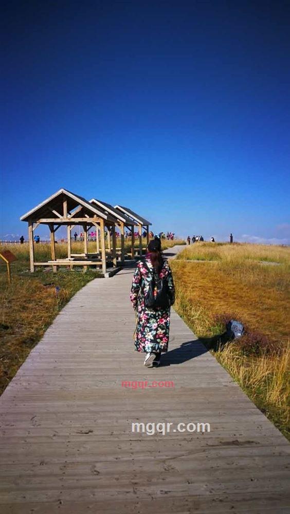 喝白茶的女人的第4张照片