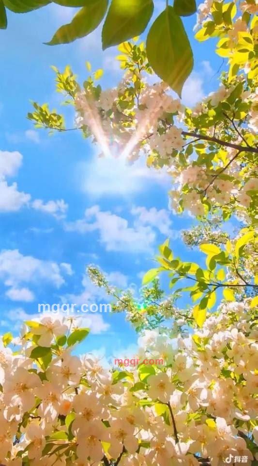 ..晓晓..的第1张照片