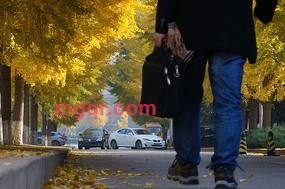 晨曦的第2张照片