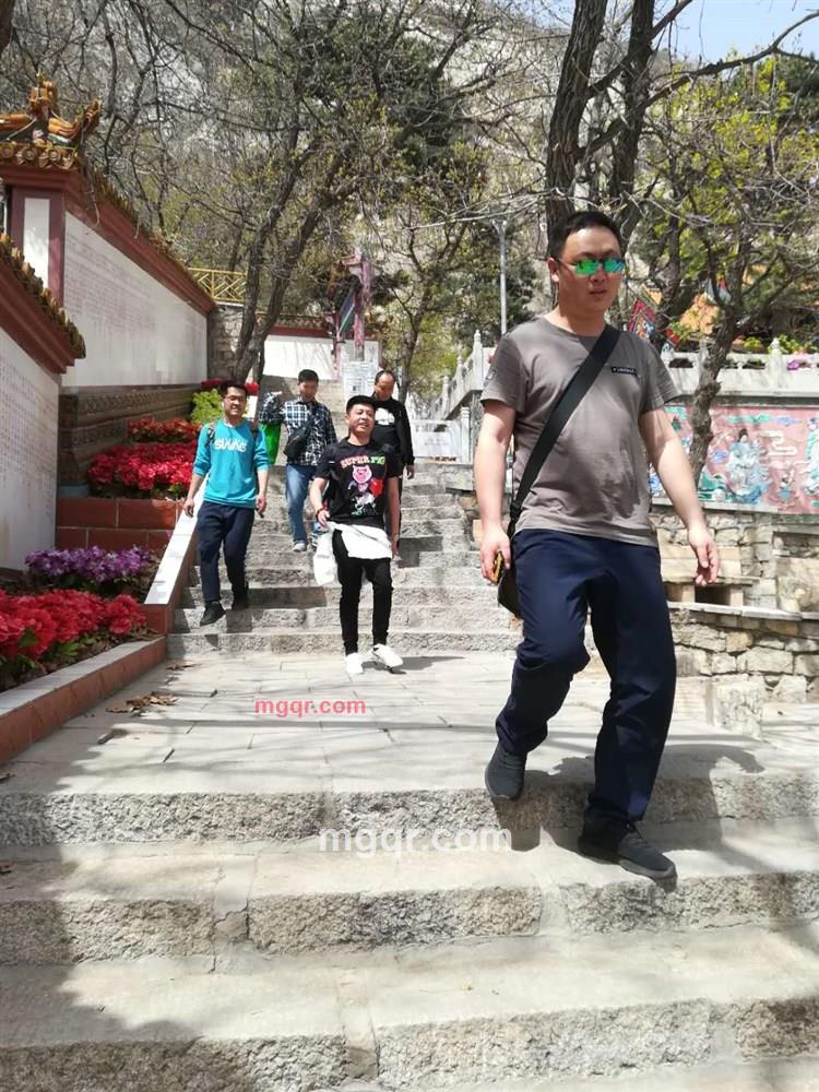 丢了鱼的猫的第2张照片