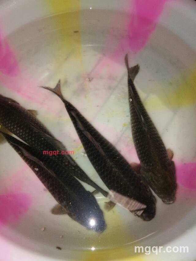 心中有你的第1张照片