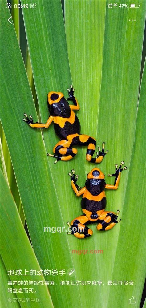 2767667的第3张照片