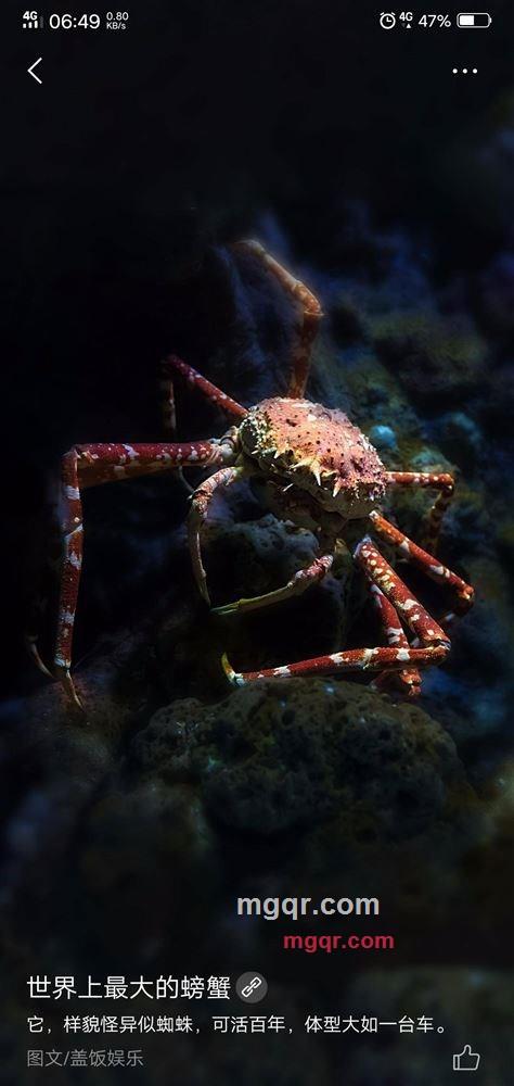 2767667的第4张照片