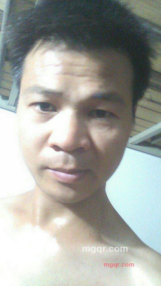 蒲公英的向往的第1张照片