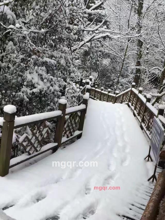 宝宝502的第1张照片