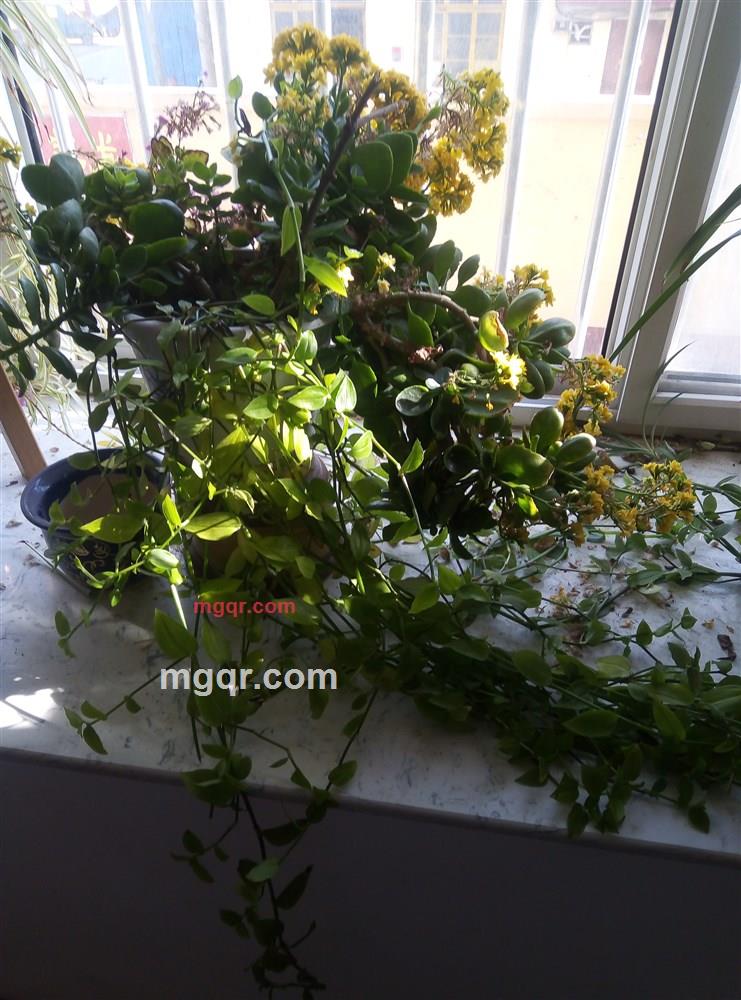 tony的第1张照片