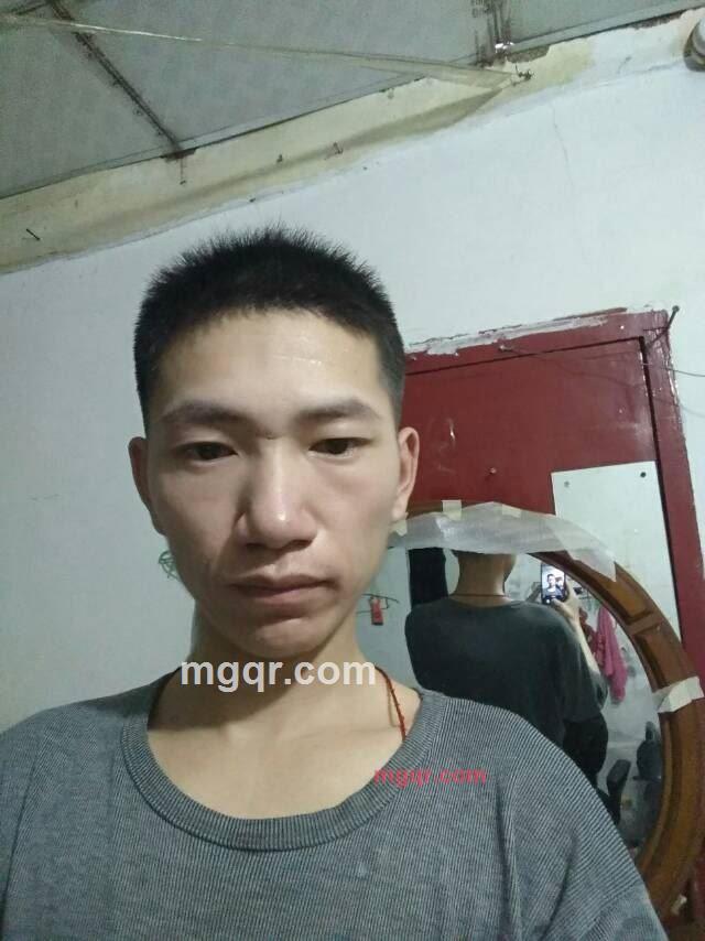 智多星的第1张照片